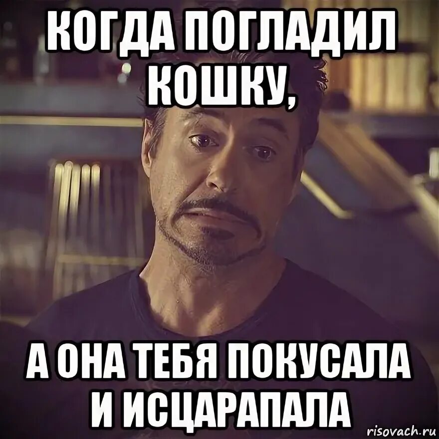 Укусить человека который нравится. Только она тебя когда нибудь укусит. Можно собачку погладить можно а она не укусит. Непреодолимое желание. Можно погладить собаку мем.