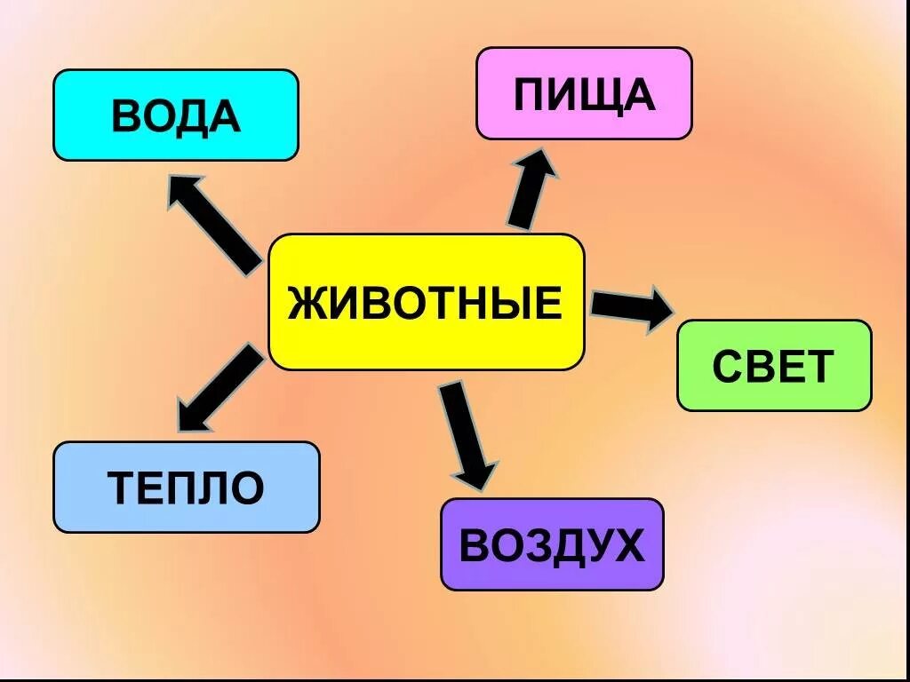 План урока окружающий мир 1 класс. Как живут животные 1 класс. Условия жизни животных. Как живут животные 1 класс окружающий мир. Как живут животные презентация.