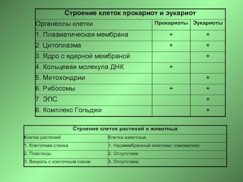 Строение клетки клеточные органоиды. Структуры эукариотической клетки органеллы. Двумембранные ядро органоиды функции. Выберите органоиды эукариотической клетки имеющие бактериальное происхождение. Органоиды прокариотической клетк.