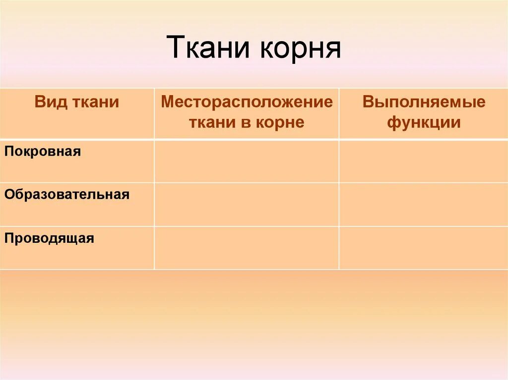 Ткани корня биология 6 класс. Ткани корня таблица 6. Ткани корня вид ткани.