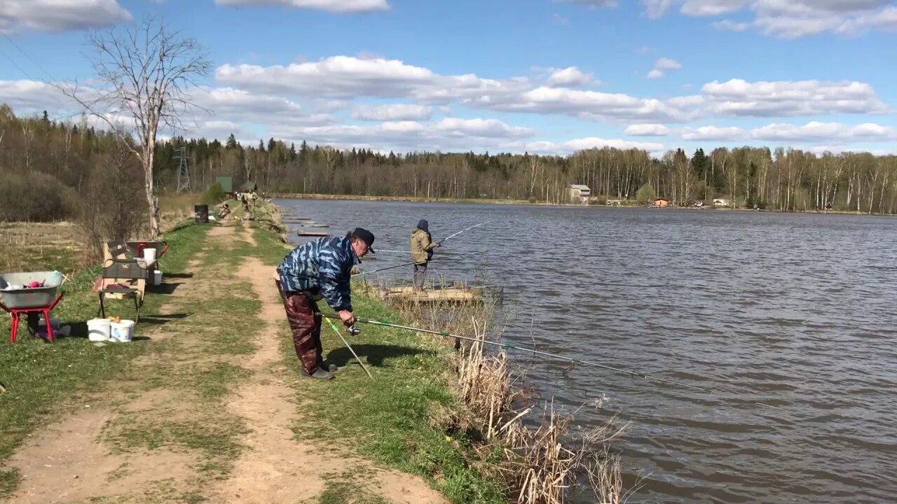 Фиш клаб астрахань. Платная рыбалка фиш. Платная рыбалка фиш. Максимиха платная рыбалка. Фиш парк алмазова.