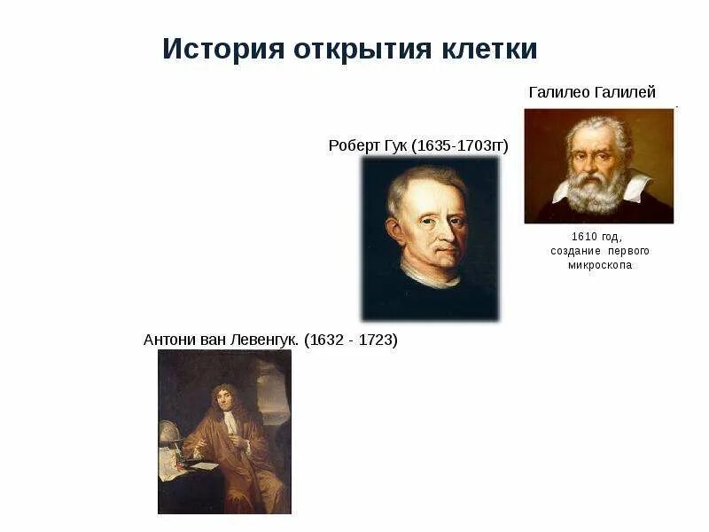 Сообщение об открытии клетки. История открытия микроскопа галилей. историяоткрыиия клетки. история открытия клетки.