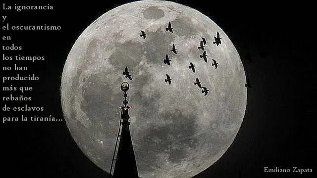 Pink supermoon just what the coronavirus lockdown doctor ordered ABC News