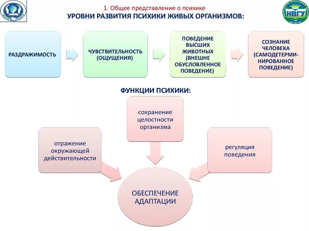 Психика человека 8 класс