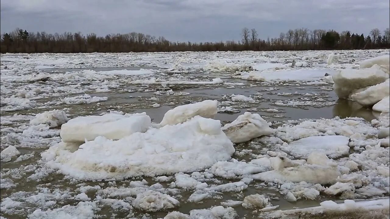 Ледоход видео для детей. Ледоход в Сургуте 2023. Ледоход на реке Обь. Ледоход et-50. Ледоход для детей.