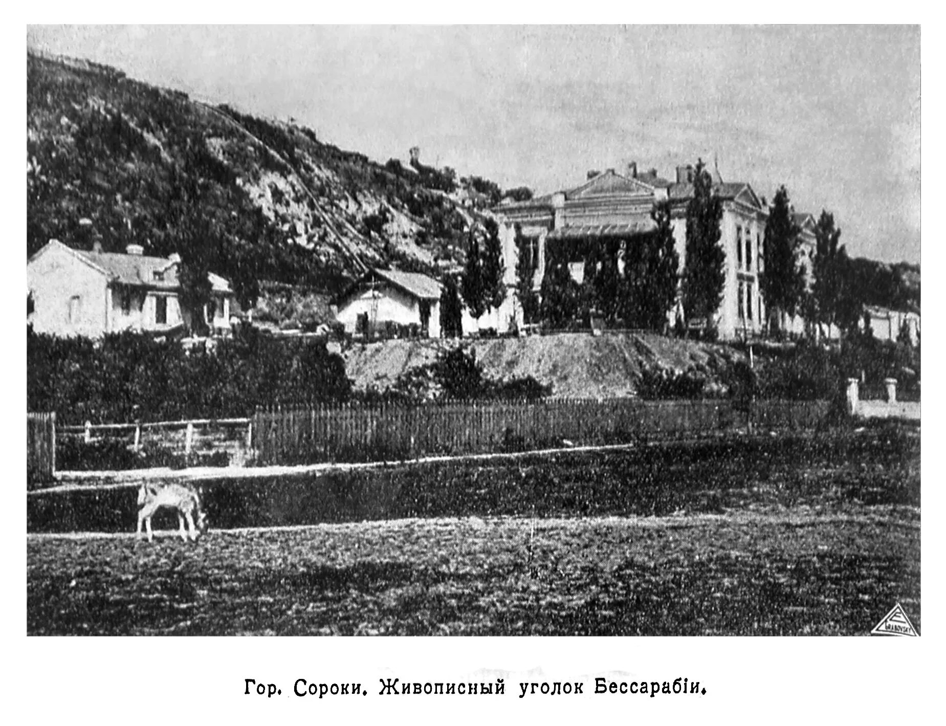 женщина среднего возраста. женщина старшего возраста. женщина среднего возраста. красивая женщина средних лет. сорок старый.