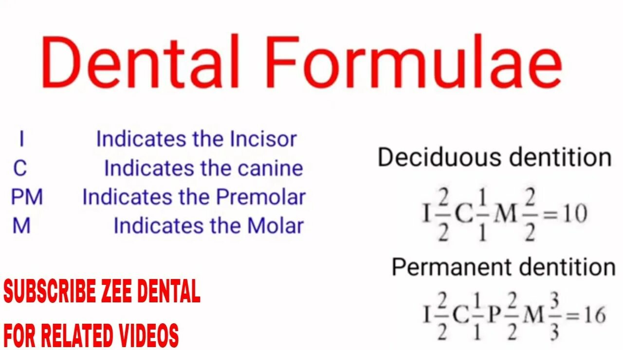 Дентал формула томск. Dental Formula permanent Teeth. Dental Formula permanent. Dental Formula in English. The Dental Formula for permanent Teeth is 2 1 2 3.