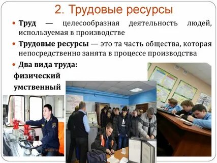 Функция подготовки трудовых ресурсов для общества