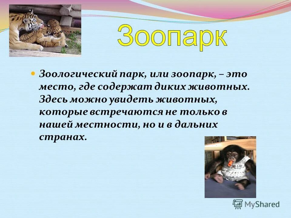В клетке со зверем. Зоопарк это определение для детей. Где разводят сельскохозяйственных животных. Где живут домашние животные. Презентация на тему зоопарк.
