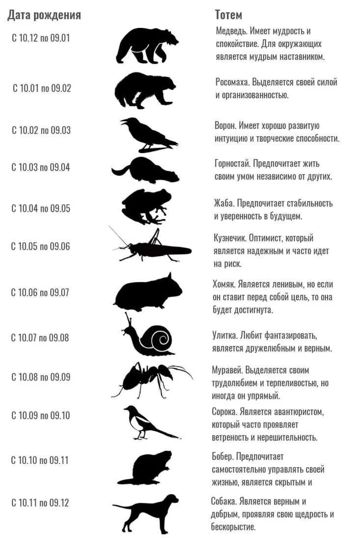 Года и их значение