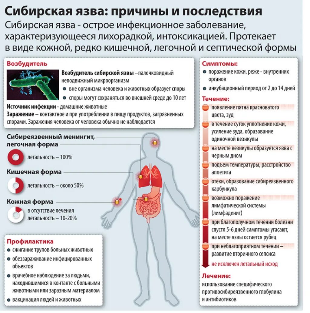 Симтомы себирзкой АЩВЫ. Сисптомы Сибирский язвы. Симптомы с Бирской язвы. Симптомы и лечение осложнений