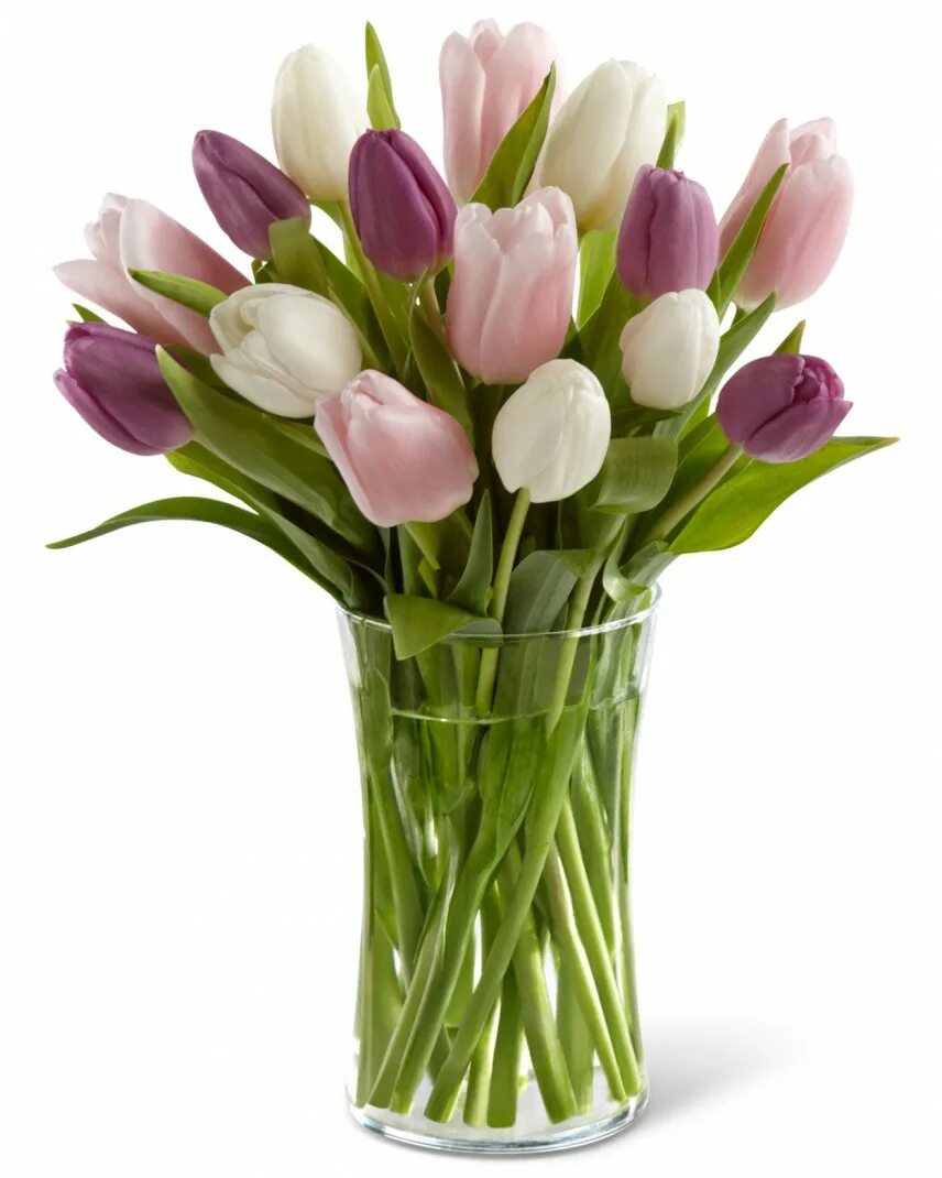 Сколько дней стоят тюльпаны в вазе. Букет тюльпанов. Нежные тюльпаны. Нежный букет тюльпанов. Тюльпаны в стеклянной вазе.
