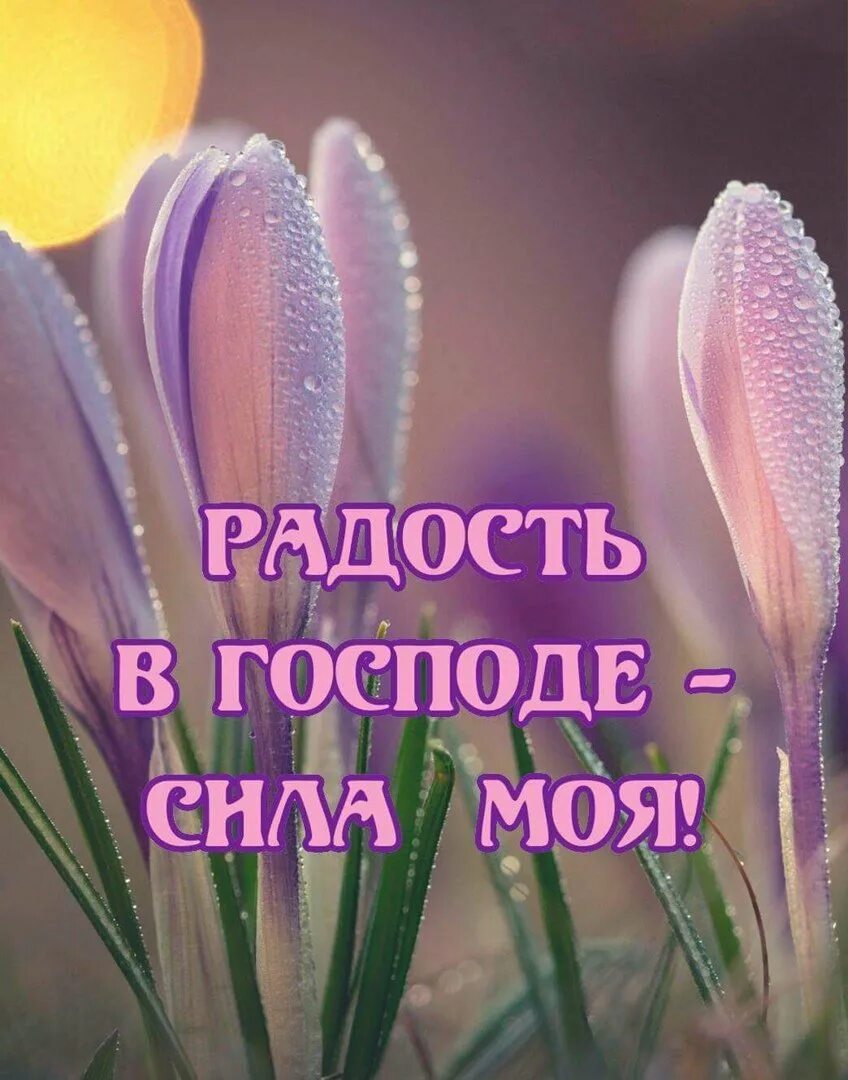 Христианские с добрым утром и благословениями. Доброе утро Божьих благословений. Христианские открытки с добрым утром и благословениями. Открытки с Божьим благословением. Доброе Воскресное утро христианские.