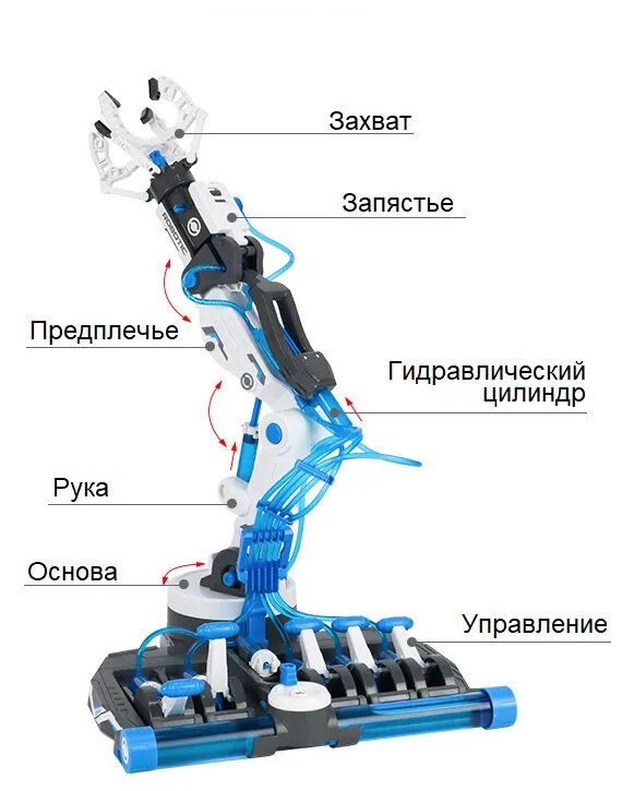Arduino датчик эмг. Перчатка для управления манипулятором. Роботизированная рука протез. Управляемая робот рука. Управляемая робот рука.