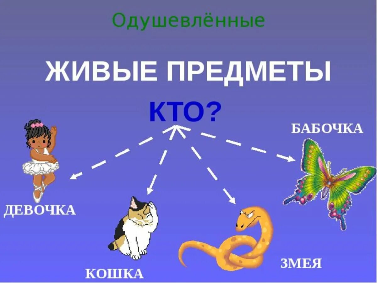 Имена одушевленные и неодушевленные. Живые одушевленные предметы. Одушевленные и неодушевленные предметы для детей. Одушевленные и неодушевленные предметы. Живые одушевленные предметы.