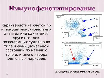 С помощью нового метода