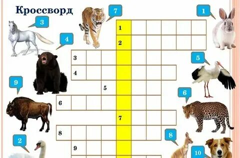 Высший класс сканворд