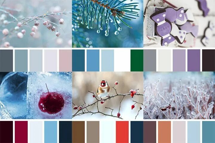 Новогодняя палитра цветов. Серо голубой цвет зима. Зимняя цветовая палитра. Декабрь какой цвет. Зимняя цветовая палитра.