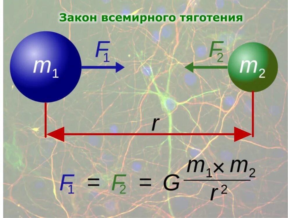 3 всемирного тяготения. Закон всемирно ОГО тяготения. Закон Всемирного тяготен. Закон Всемирного тяго ения. Закон Всемирного тяготения.