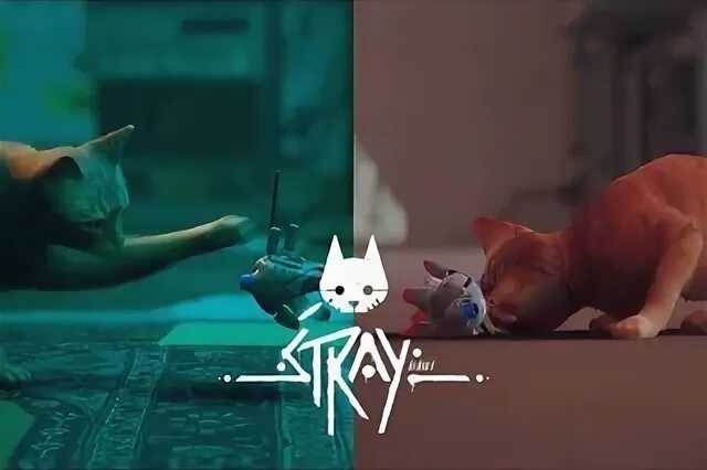 Stray игра финал. Концовка игры стрэй кот. Stray концовка. Stray игра концовка. Концовка стрей