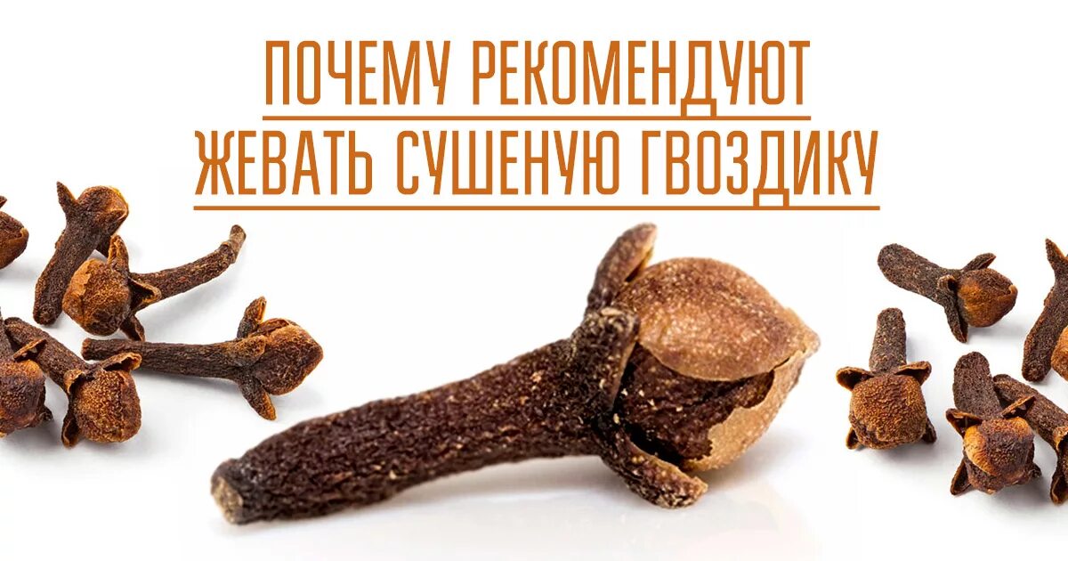 Гвоздика сушеная полезные. Гвоздика сушеная. Сушёная гвоздика чем полезна. Гвоздика полезные свойства. Гвоздика специя.
