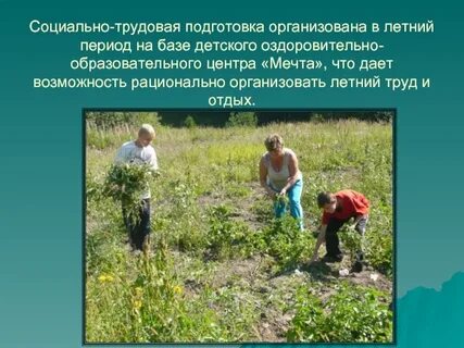 Трудовая подготовка