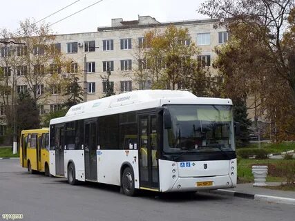 24 автобус севастополь