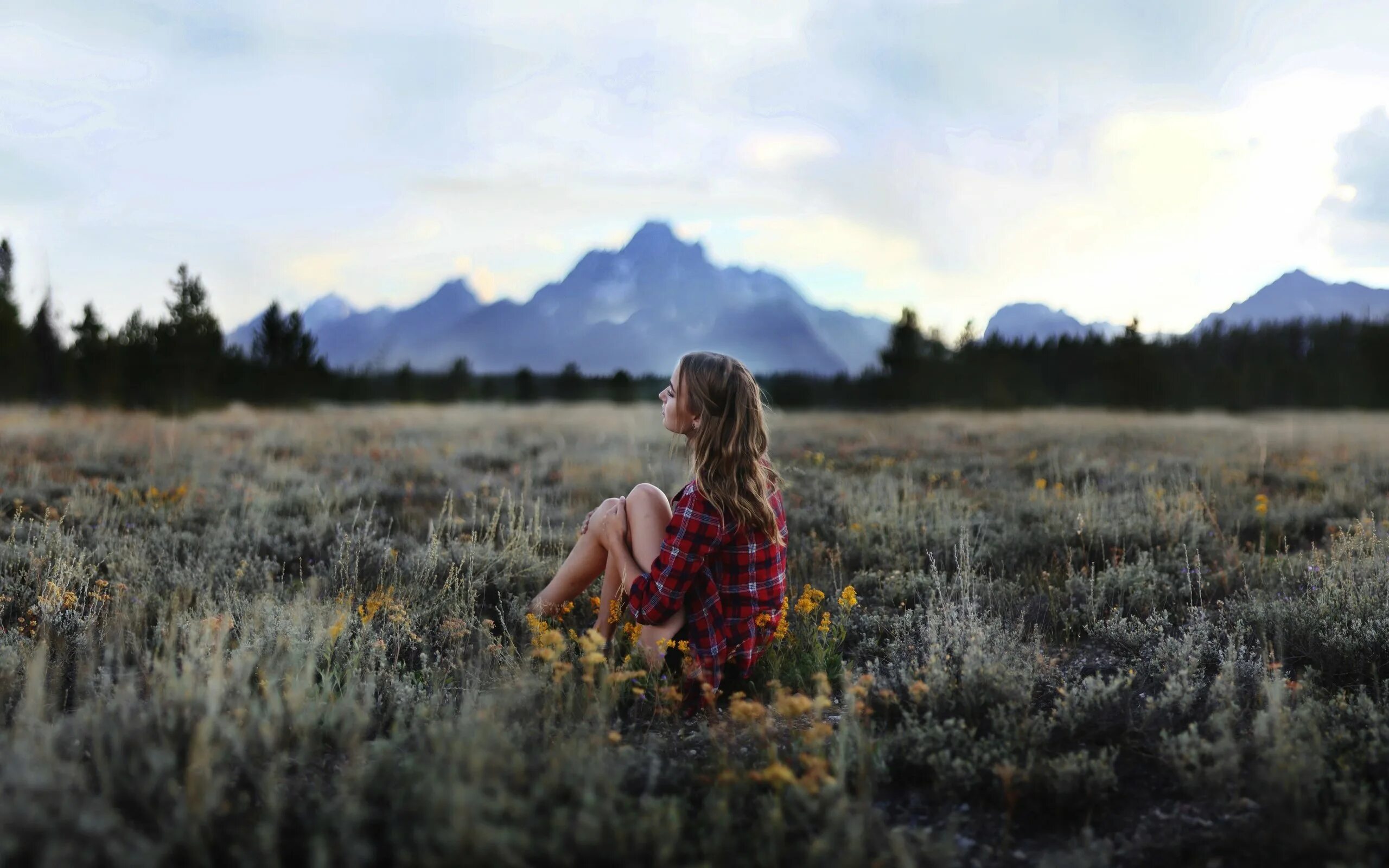 цветок напоминающий женские органы. лоно маленькое. красивые пейзажи с людьми. девушка в поле. цветок похожий на женские органы.