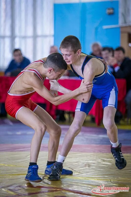 греко римская борьба владивосток