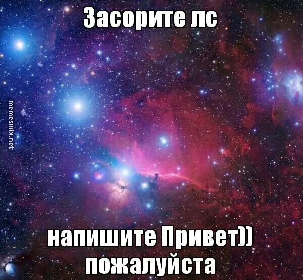 Как называется ориентация когда никто не нравится