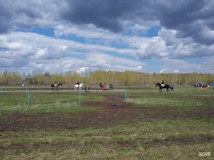 Ипподром новосибирск