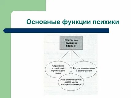 Каковы основные функции психики