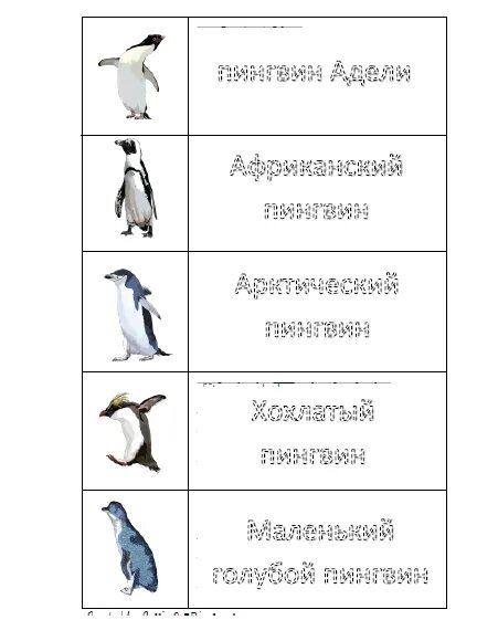 Комплексная работа пингвины ответы. Задания с пингвинами для дошкольников. Пингвины задания для детей. Пингвины задания для детей 6-7 лет. Задания про пингвинов и чтение.