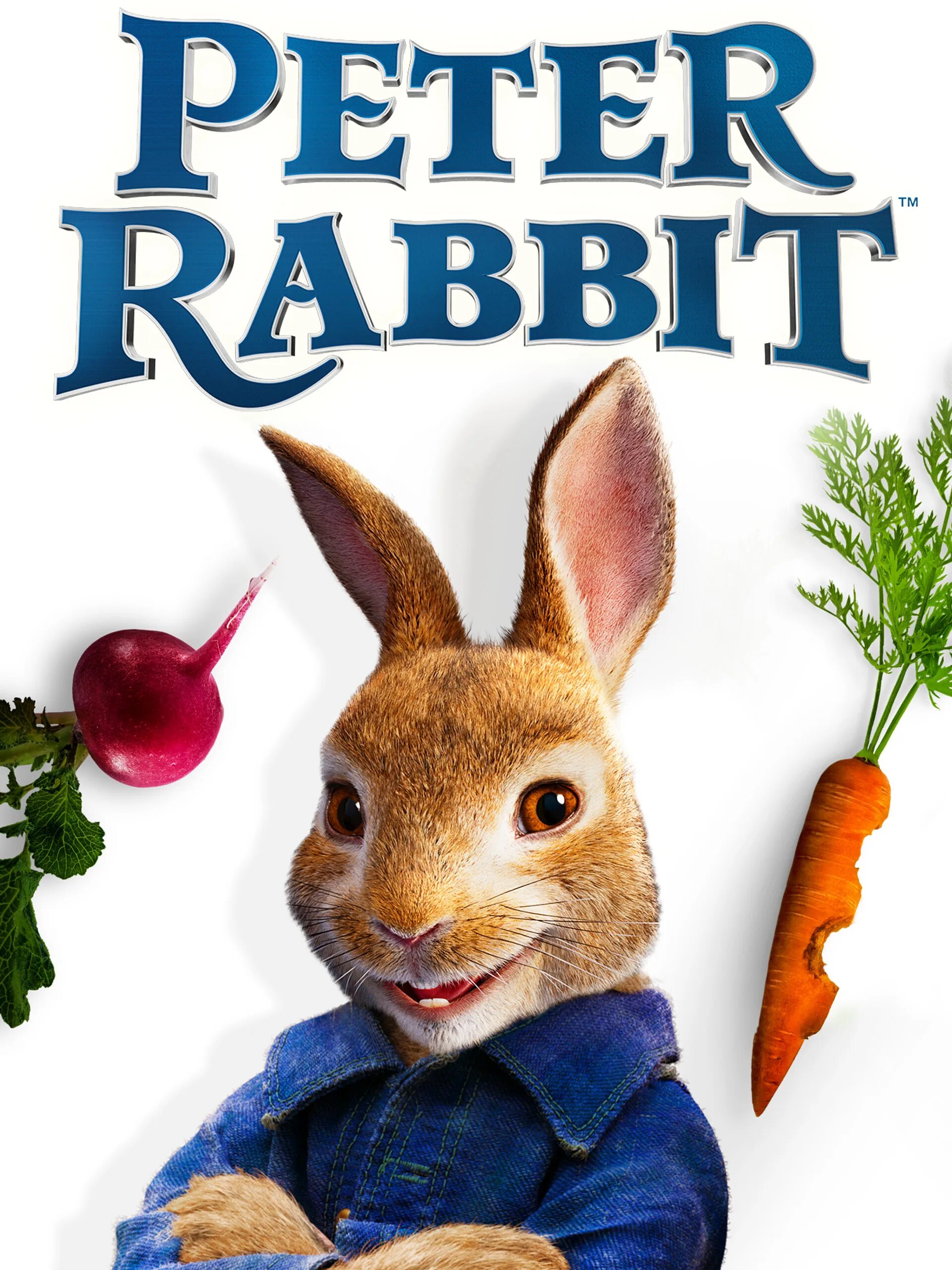 Rabbit movie. Кролик Питер (2018) Peter Rabbit. Кролик Питер герои. Кролик Питер персонажи.