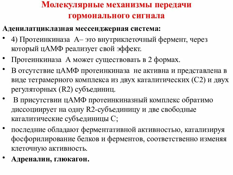 Механизмы передачи гормонального сигнала. Внутриклеточный механизм передачи гормональных сигналов в клетку. Молекулярные механизмы передачи гормонального сигнала. Молекулярнве мезаеизмы внутриклет передачи гормональных сигналов. Сигнала фермент