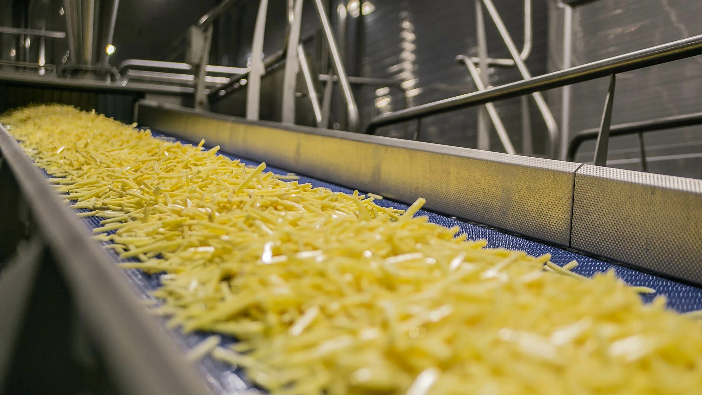 Урожай картофеля. Производители картофеля. Поля картофеля тамбовской области. Картофель lamb weston липецк. Макдональдс производство ферма.