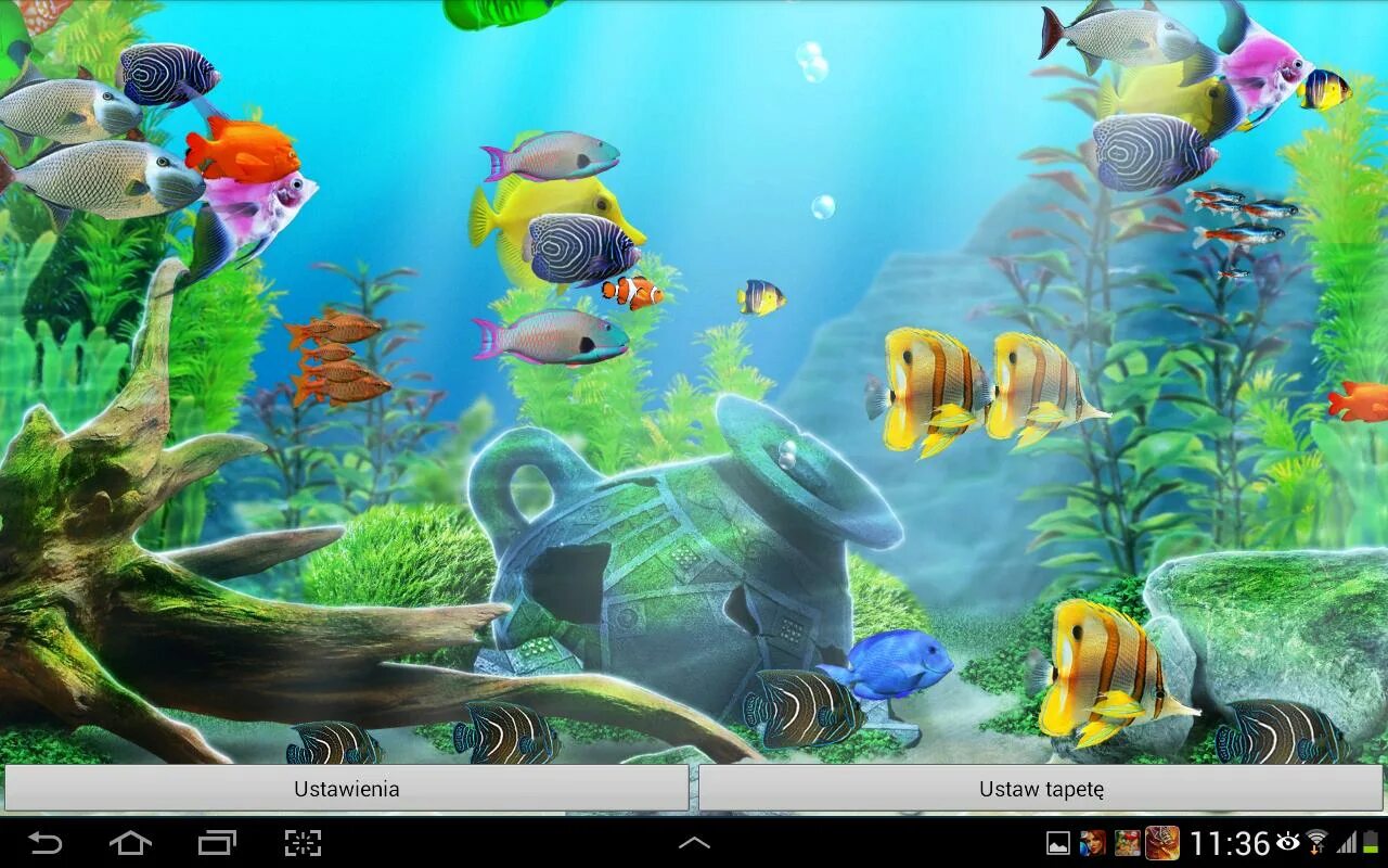 Живые обои из галереи андроид. Живой аквариум. Живые обои аквариум. Живые обои аквариум 3д. Живые обои рыбки.