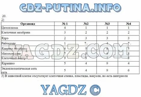 Практическая работа номер 4 биология 8 класс