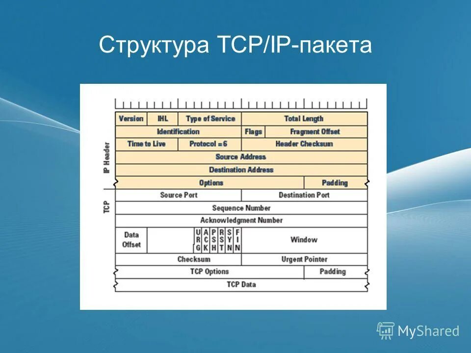 Структура пакета ethernet tcp/ip. Состав tcp пакета. Структура tcp. Tcp протокол структура. Tcp пакет.