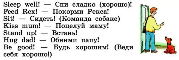 Sleep well cg5 текст. Покорми Рекса по английски. Как будет по-английском Покорми Рекса. Просьбы на английском языке 2 класс. Просьба по английски.