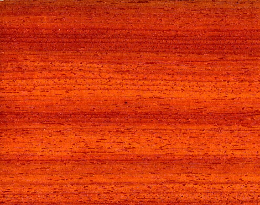 Красное дерево Падук. Древесина красное дерево красный Падук. Дерево Падук шпон. Падук древесина текстура.