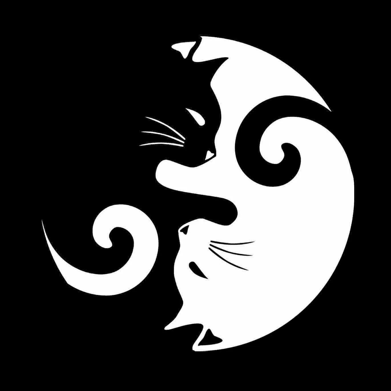 Котик инь. Инь ян коты ррисунок арт. коты воители инь янь. узор в виде кота. трафарет тату кошка.
