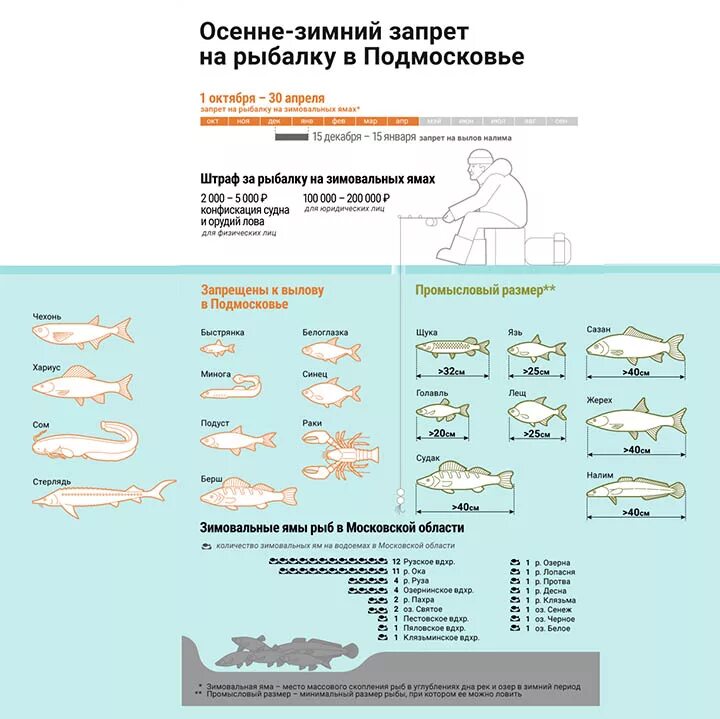Рыбалка на щуку // Новость Рыболовная база отдыха "Ихтиолог"
