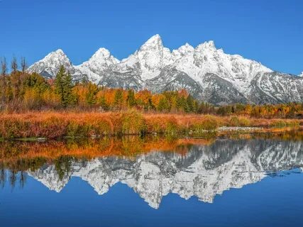 Mount g