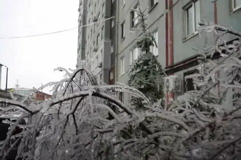 Ремонт 30 декабря