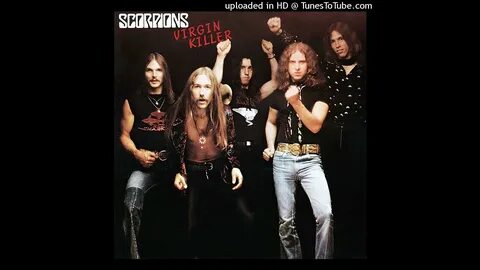 Scorpions life