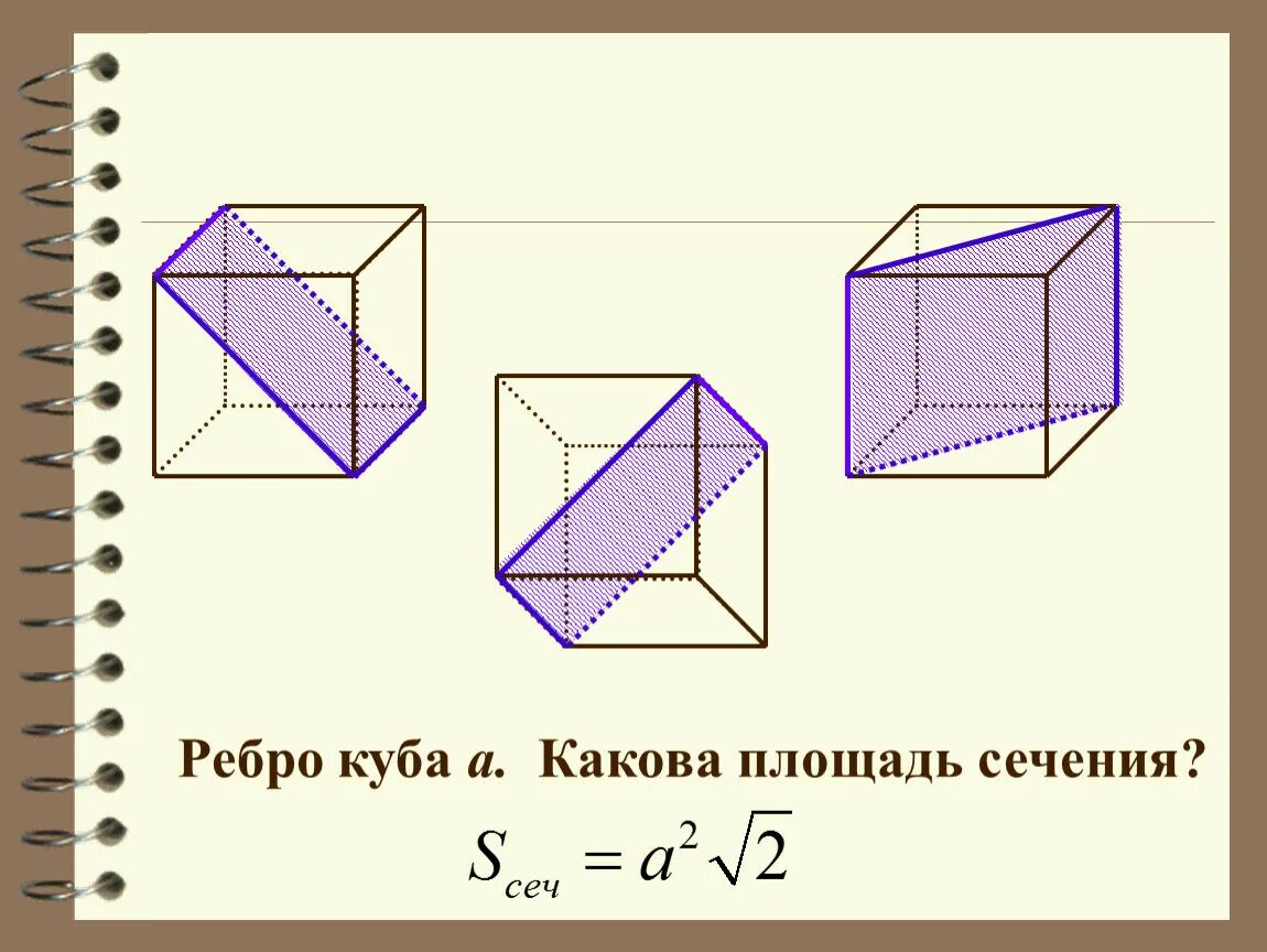 Ребро куба равно найдите площадь диагонального сечения