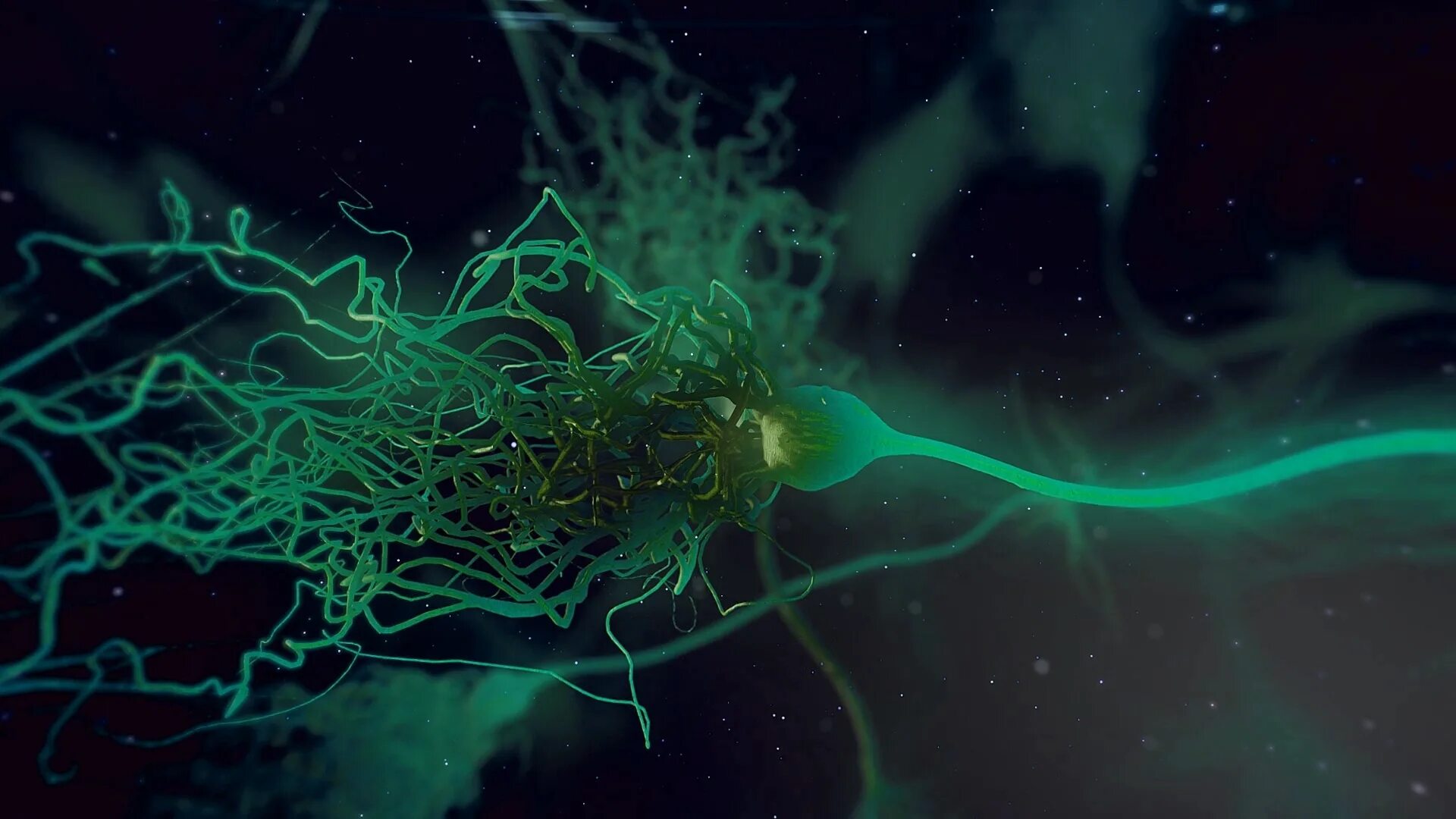 Synapse x