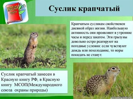 Дневной образ жизни