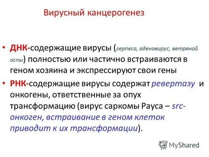 Вирусный канцерогенез